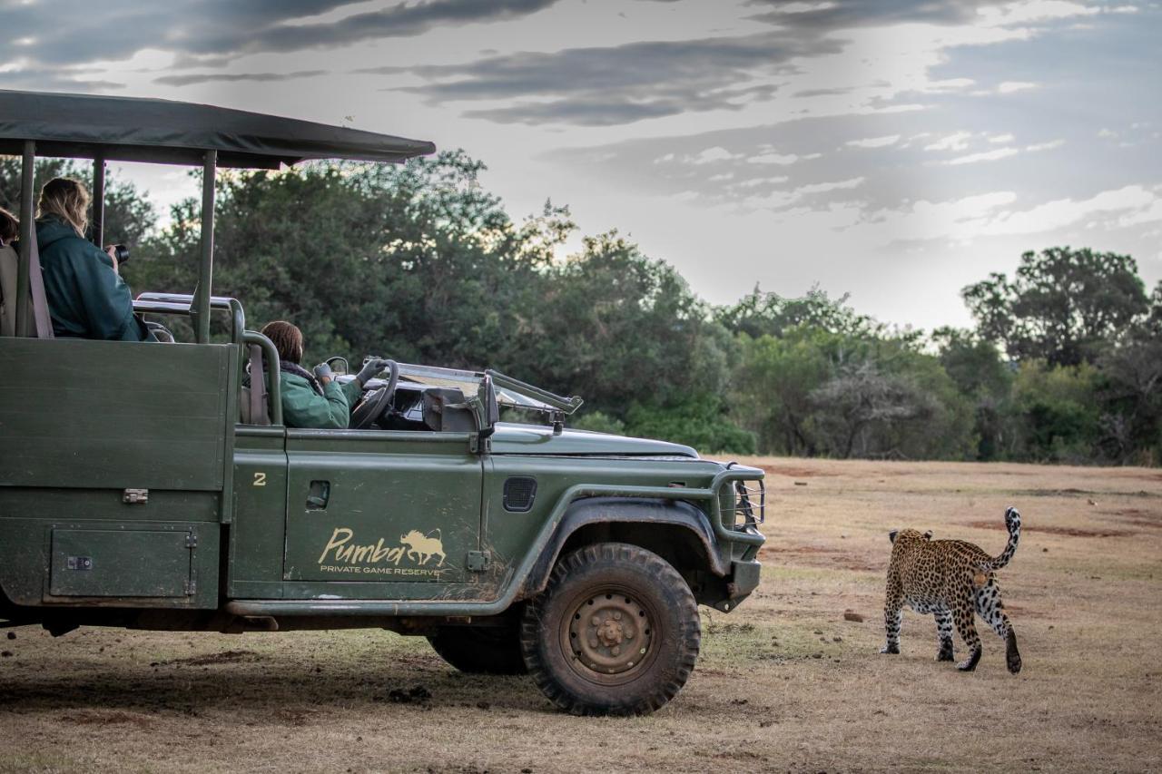 Pumba Private Game Reserve Grahamstown Dış mekan fotoğraf