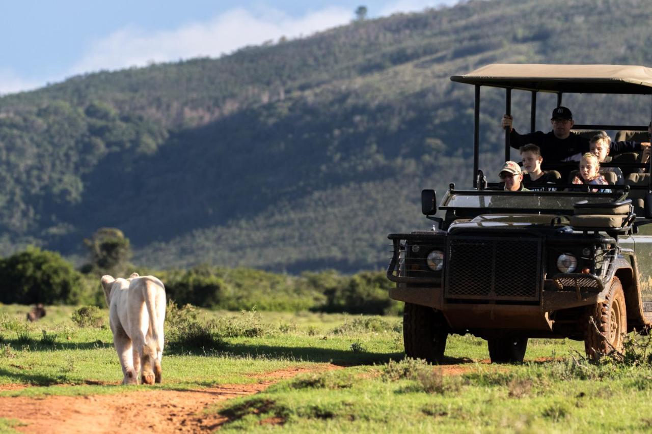 Pumba Private Game Reserve Grahamstown Dış mekan fotoğraf