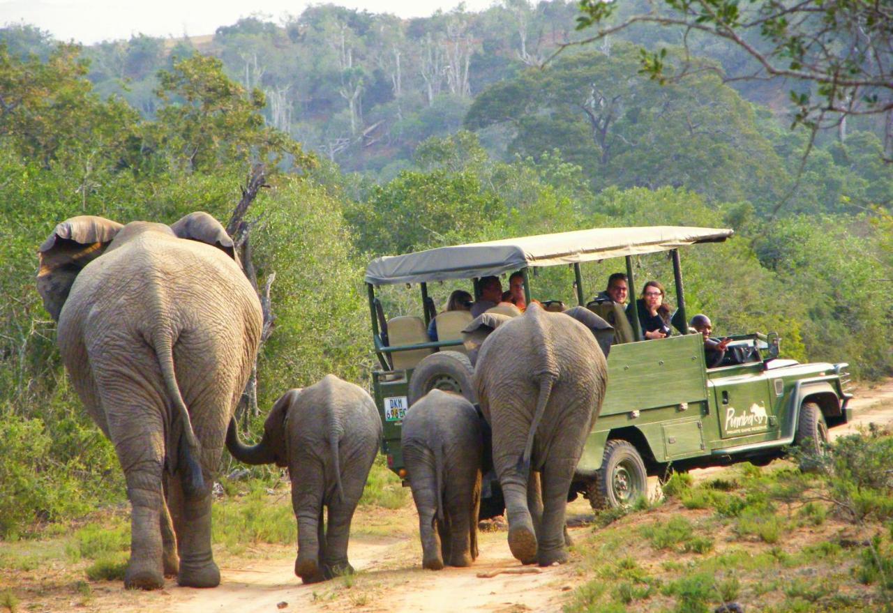 Pumba Private Game Reserve Grahamstown Dış mekan fotoğraf